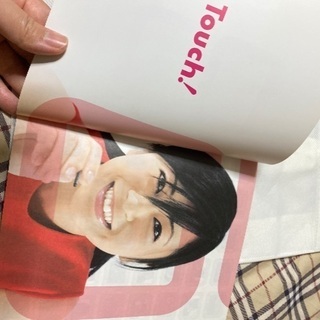 ニンテンドーDS 初代ガイドブック+袋　宇多田ヒカルの画像