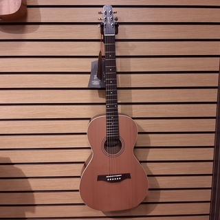 Seagull  アコースティックギター　Coastline G...