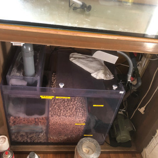 オーバーフロー水槽　セット　激安