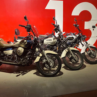 平日限定❗️女性ライダーメンバー『freedom』‼️メンバー募集‼️🤗 - その他