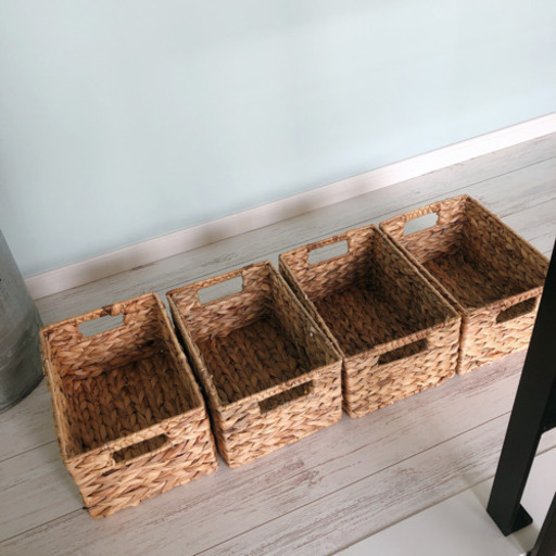 ヒヤシンス　BOX 4個