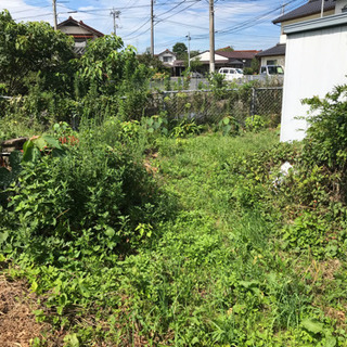 庭の粗整地、粗仕上。30,000円 - 手伝って/助けて
