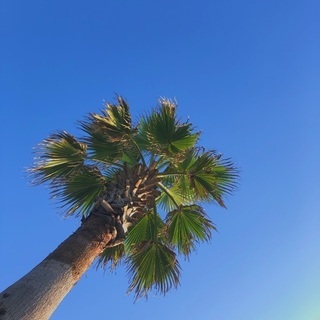 一緒にサーフィン行ってくれる方募集してます！🏄‍♂️