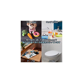 最終値下げ‼️新品パウチ済み次亜塩素酸水1ℓスプレーボトル付きの画像