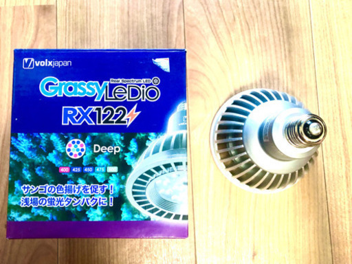 Grassy LeDio グラッシーレディオ RX122 ディープ 海水用