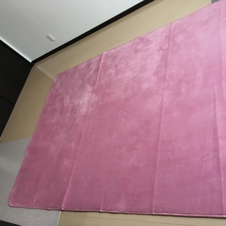 ふわふわラグ（カーペット・絨毯） 【ふつうタイプ（厚み7mm）3...