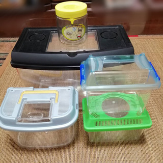 虫かごセット+コバエキャッチャーの画像