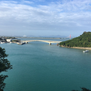 スーパーフルーツ「ノニジュース」を飲んで元気な毎日を！