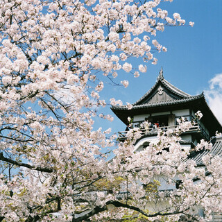 カメラ友達募集 - 名古屋市