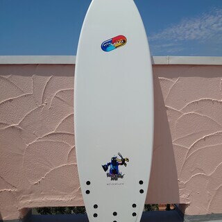 Placebo/プラセボ タブレット6.0 サーフボード フィン、ケース、未使用