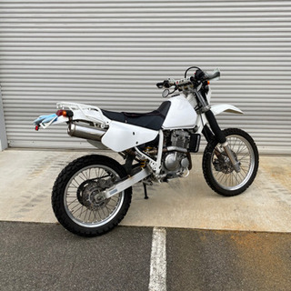 DR250Rの画像