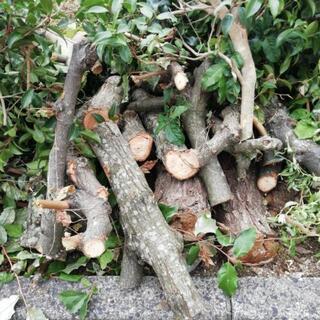薪　たきぎ　スェーデントーチ
