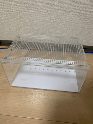 レプタイルボックス