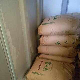 令和元年産　コシヒカリ玄米３０ｋｇの画像