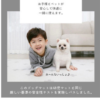 ISOFIX コンビチャイルドシートとベビーマットのセットの画像