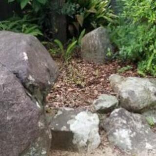 形のいい庭石、無料で差し上げますの画像