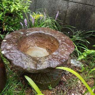 形のいい庭石、無料で差し上げます
