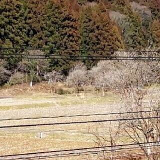 ⭐福井県新型コロナウイルス情報共有専用