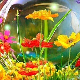 ⭐関西R40～独身の息抜き部屋✨
