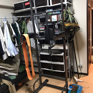 STEDY 懸垂マシン