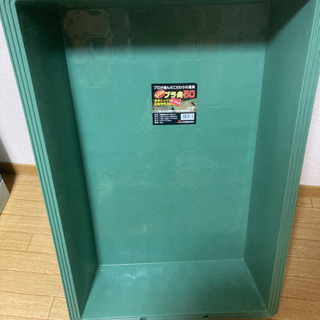 プラ舟50 リス興業