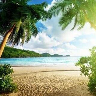 キャンプアイテム　最終価格の画像