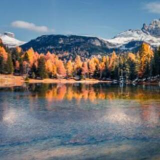 キャンプアイテム　最終価格の画像