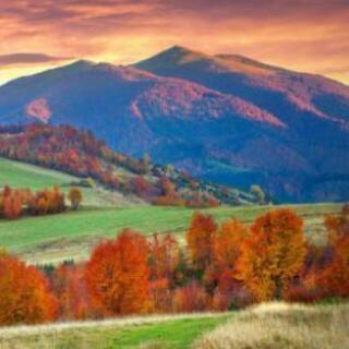 キャンプアイテム　最終価格の画像