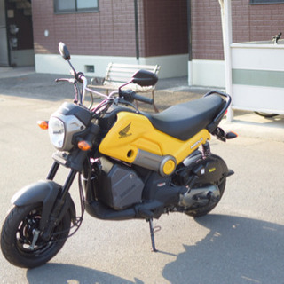NAVi110 HONDA 黄色の画像