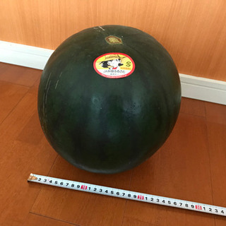 スイカ　秋田県産
