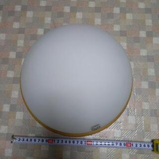 オーデリック　玄関　廊下　かわいいドーム型照明の画像