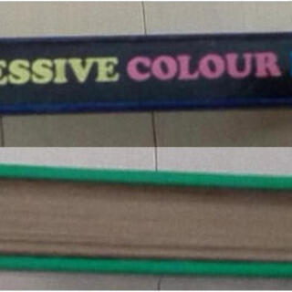 Oxford Progressive Colour Dictionaryの画像