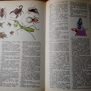 Oxford Progressive Colour Dictionaryの画像