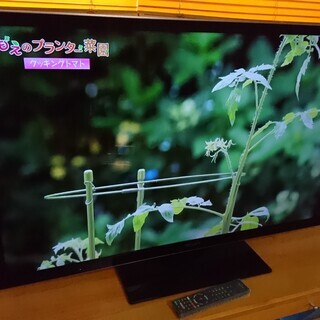 SONY BRAVIA 地上・BS・110度CSデジタルハイビジョン 液晶テレビです。【再値下げしました】