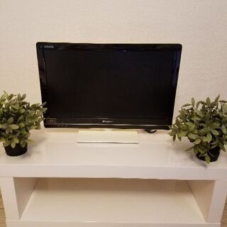 フィカス&テレビ22v&TVボードセット3セット　