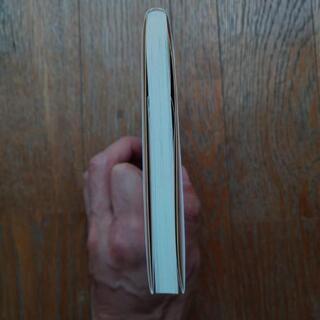 辛酸なめ子 『おしゃ修行』双葉文庫の画像