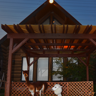 夏の夕暮れはナイトAlpacaに！