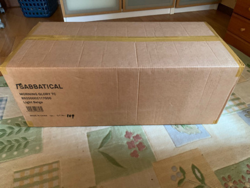 [未開封]サバティカル　モーニンググローリー　ライトベージュ