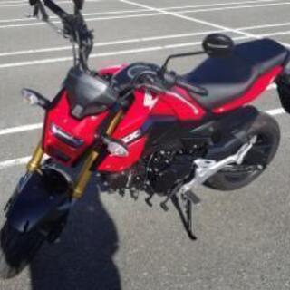 志賀島でバイクやペットを撮影させてくださる方