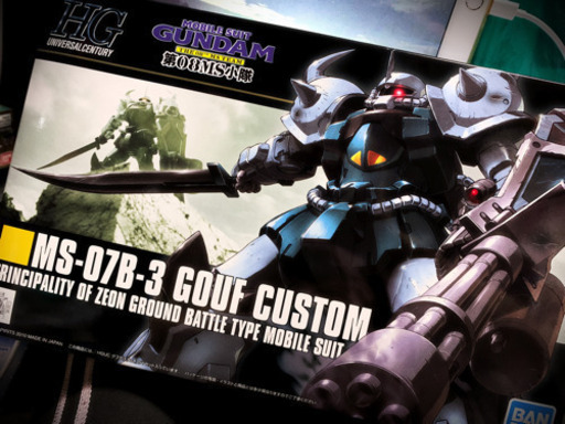 【譲渡完了】ガンプラ グフカスタム HGUC