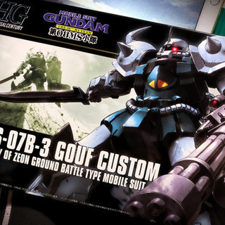 【譲渡完了】ガンプラ グフカスタム HGUC