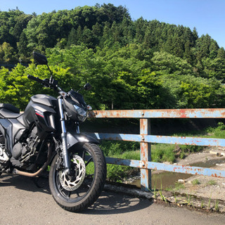YAMAHA FZ25(2019年モデル　オートバイ・バイク本体)の画像