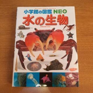 小学館の図鑑 NEO 【水の生物】