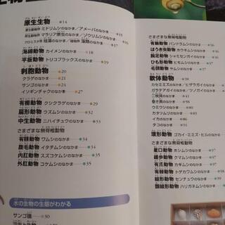 小学館の図鑑 NEO 【水の生物】の画像