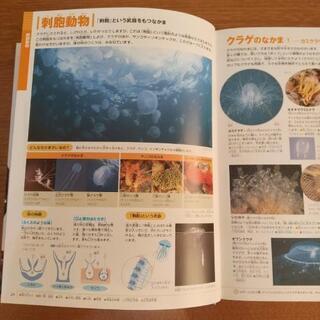 小学館の図鑑 NEO 【水の生物】の画像