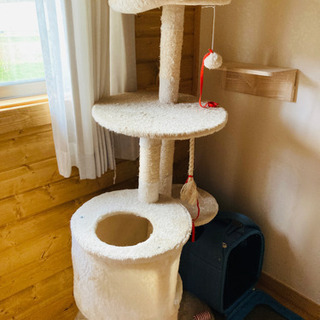 キャットタワー譲ります。車での受け取り可能のみの方
