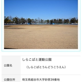 素人野球遊び