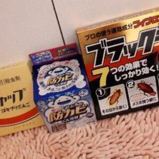 全部で600円 🐝🐜🐌..