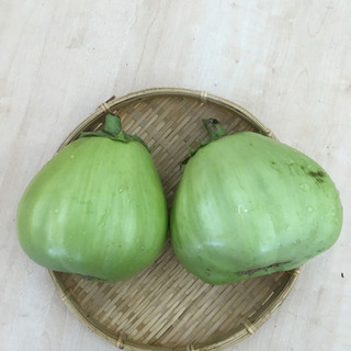 特大　埼玉青なす　破格　¥300
