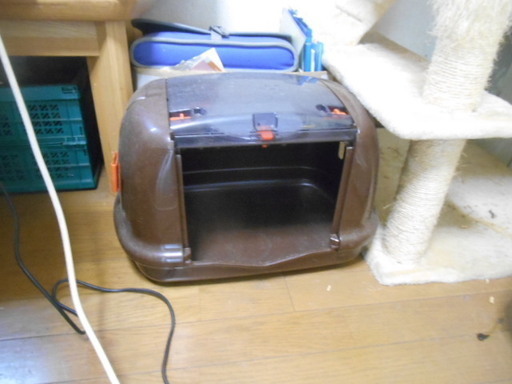 猫ちゃんバスケット　美品　40×30ｃｍ　お出かけの時に！